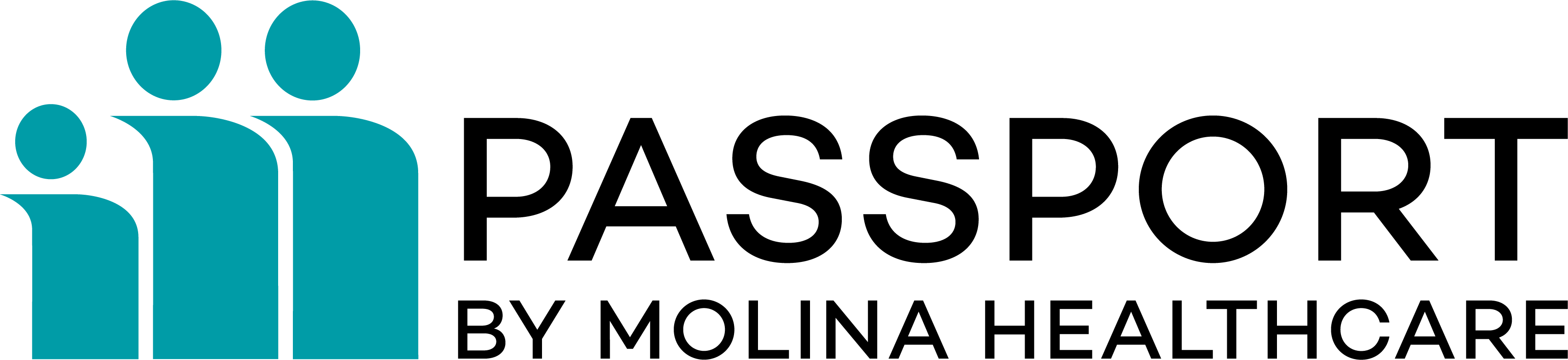 Passport Logo